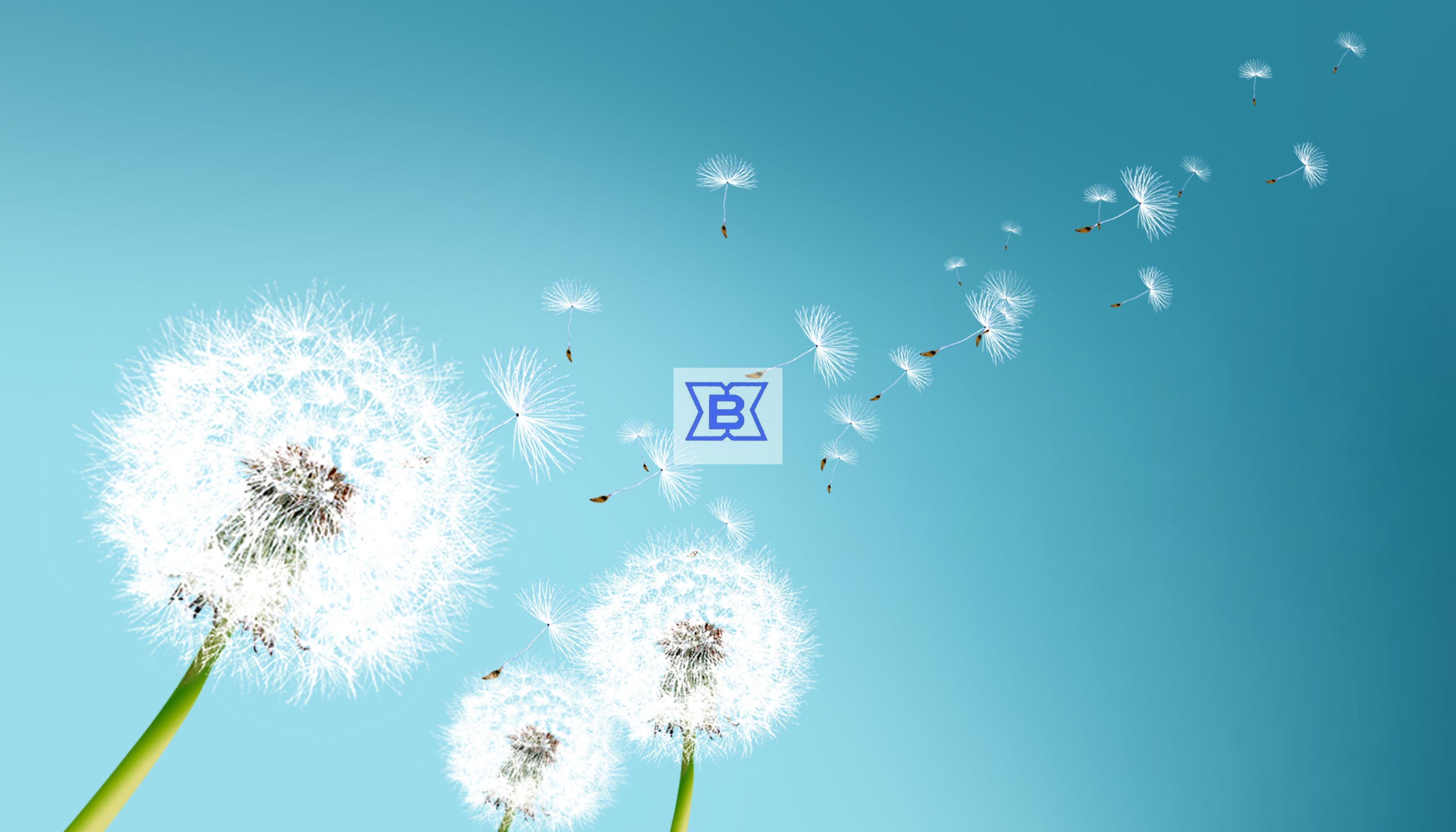 DB电竞·(中国区)官方网站